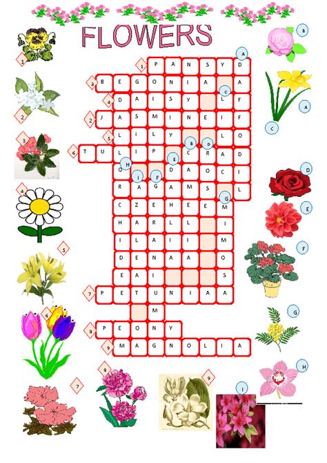 spring flower crossword puzzle.